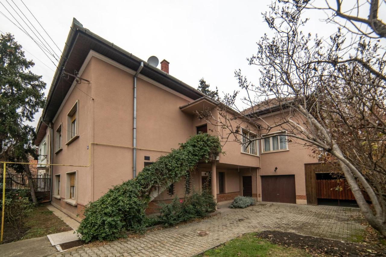 City House Timisoara Luaran gambar